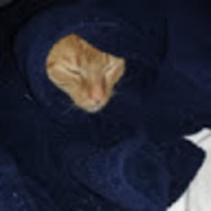 Meet your Posher, Destiny